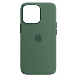 Чехол (накладка) Apple iPhone 13 Pro Max, Original Silicon Case, MagSafe, Eucalyptus, Зеленый