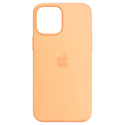 Чохол (накладка) Apple iPhone 12 / iPhone 12 Pro, Original Silicon Case, Cantaloupe, MagSafe, Помаранчевий