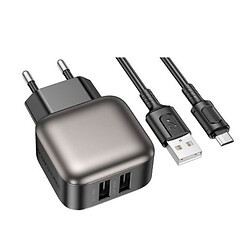 СЗУ Borofone BAS51A Absolute, MicroUSB, З кабелем, Чорний