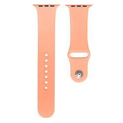 Ремешок Apple Watch 38 / Watch 40, Silicone WatchBand, Flamingo, Розовый