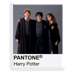 3D-стикер "Pantone Potter 2", Tattooshka