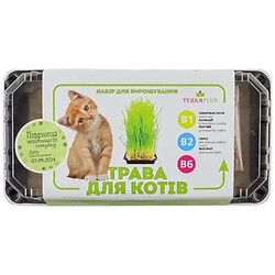 Набір для вирощування трави для котів Terra Plus: парник+насіння