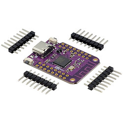 ESP32 S2