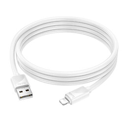 USB кабель Hoco X114 Energy Apple iPhone SE 2022 / iPhone 14 Pro Max / iPhone 14 Plus / iPhone 14 Pro / iPhone 14 / iPhone 13 Pro / iPhone 13 Mini / iPhone 13 / iPhone 13 Pro Max / iPhone 12 Mini / iPhone 12 Pro Max, Lightning, 1.0 м., Білий