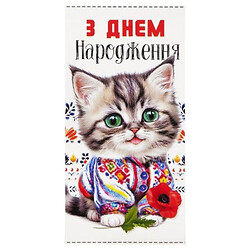 Конверт поздравительный "С Днем рождения!", FIESTA