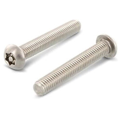 Гвинт М6х20 напівкруглий А2 TORX30, антивандальний