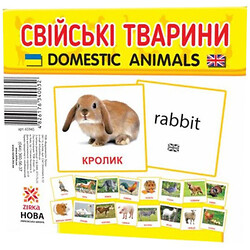 Карточки мини "Домашние животные", 110х110 мм, укр, Ранок