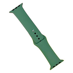 Ремешок Apple Watch 38 / Watch 40, Silicone WatchBand, Pine Green, Зеленый