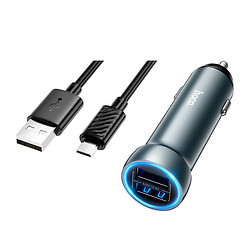 АЗУ Hoco Z54 Prosperous, MicroUSB, З кабелем, Сірий