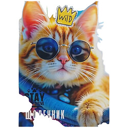 Щоденник шкільний "Котик", 55г, Скоба, 143х197 мм, 40 арк, Mandarin