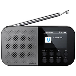 Радиоприемник Sharp DR-P520, Серый