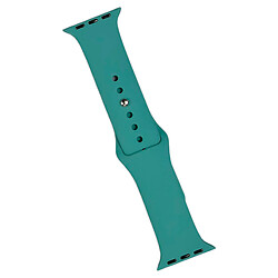 Ремешок Apple Watch 38 / Watch 40, Silicone WatchBand, Cactus, Зеленый