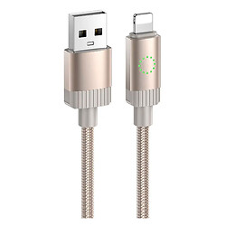 USB кабель Hoco X117 Star Apple iPhone SE 2022 / iPhone 14 Pro Max / iPhone 14 Plus / iPhone 14 Pro / iPhone 14 / iPhone 13 Pro / iPhone 13 Mini / iPhone 13 / iPhone 13 Pro Max / iPhone 12 Mini / iPhone 12 Pro Max, Lightning, 1.0 м., Золотий