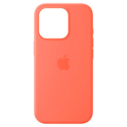 Чохол (накладка) Apple iPhone 16 Pro, Silicone Classic Case, Tangerine, MagSafe, Помаранчевий