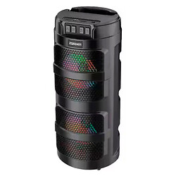 Портативная колонка Sing-e ZQS2401, Черный
