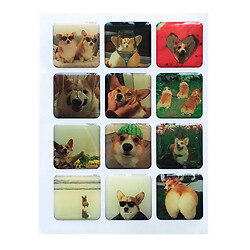 Набор наклеек 3D Stickers Corgi 1