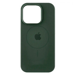 Чехол (накладка) Apple iPhone 11, Air Beats Logo, MagSafe, Cyprus Green, Зеленый