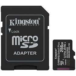 Карта памяти Kingston Canvas Select Plus, 256 Гб.