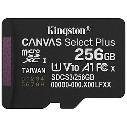 Карта памяти Kingston Canvas Select Plus, 256 Гб.
