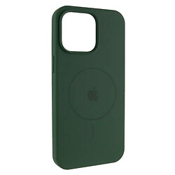 Чехол (накладка) Apple iPhone 14, Air Beats Logo, MagSafe, Cyprus Green, Зеленый