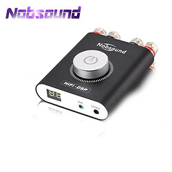 Усилитель низкой частоты (УНЧ) NS-20G-Black