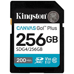 Карта памяти Kingston Canvas Go! Plus, 256 Гб.