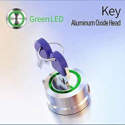 Кнопка LB22SA1Y1-Y10Z-G9-24V-A-2(L)