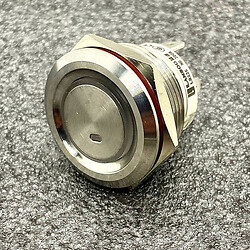 Кнопка антивандальна LB22E-P10Z/E+XDW5-24V/S(L)longpin