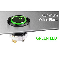 Кнопка антивандальна LB19E-P10Z/E+XDG5-24V/A(L)longpin
