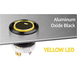 Кнопка антивандальна LB19E-P10Z/E+XDY5-24V/A(L)longpin