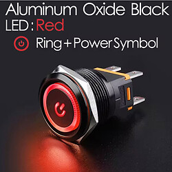 Кнопка антивандальная LB22C-P20Z/EDYR9-24V/A(L)