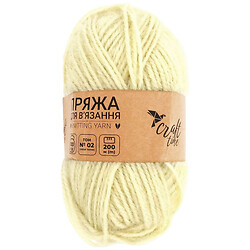 Пряжа для в'язання Craft time 100 г, 200 м тон №02