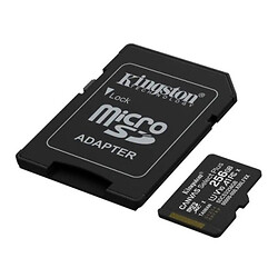 Карта пам'яті Kingston Canvas Select Plus microSDXC UHS-1 Gen3, 256 Гб.