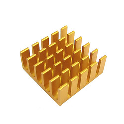 Радиатор игольчатый RAD-22x22x10-GOLD