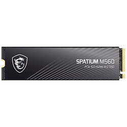 SSD диск MSI Spatium M560, 2 Тб.