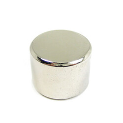 Магніт Magnet-20X15