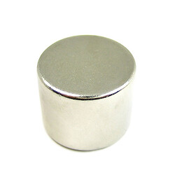 Магніт Magnet-25X20