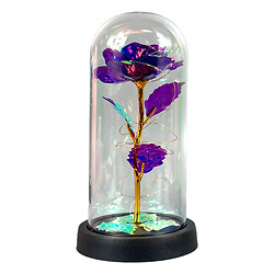 Нічник Вічна троянда, Фіолетовий