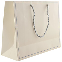 Пакет подарочный однотонный, 28х22х10 см