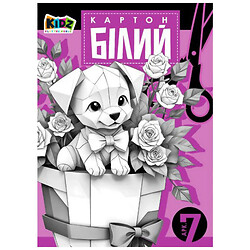 Набір картону, 210х297 мм, 7 листів, в кольоровій папці, Art Studio Of Happiness