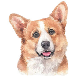 Блокнот "КОРГИ", 64 листа, клетка, Bourgeois