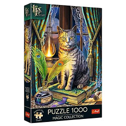 Пазли, 1000 ел, "Преміум: Книга тіней", Trefl