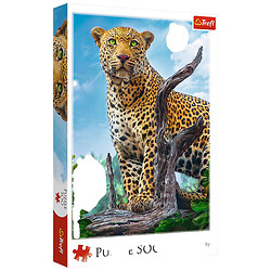 Пазлы "Дикий леопард", 500 элементов, Trefl