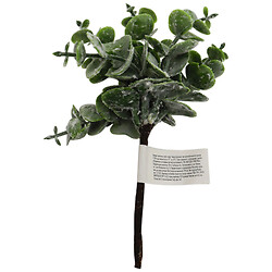 Набір гілочок для рукоділля "Евкаліпт", 6 шт