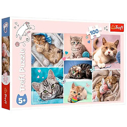 Пазлы "В миру котиков", 100 элем., Trefl
