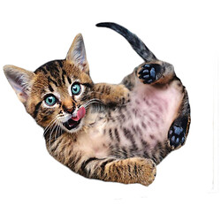 Пазлы "Веселый котенок", 1000 элементов, Trefl