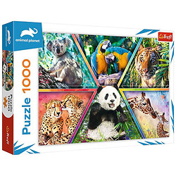 Пазлы "Страна животных", 1000 элементов, Trefl