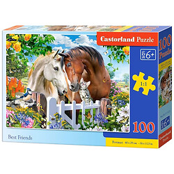 Пазлы "Лучшие друзья", 100 элементов, Castorland