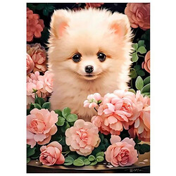 Пазлы "Щенок померанского шпица в розах", 300 элементов, Castorland