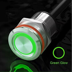 Кнопка антивандальная LB22F-P10F/EG5-24V/S135/M12-4P(L)